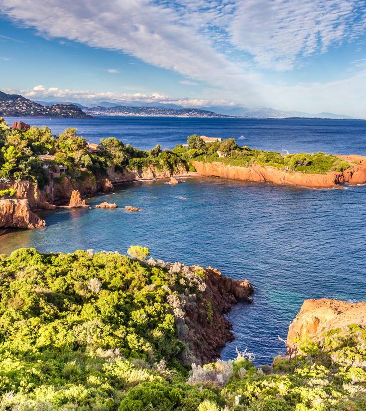 311330055_10228645846836166_319634901897212697_n