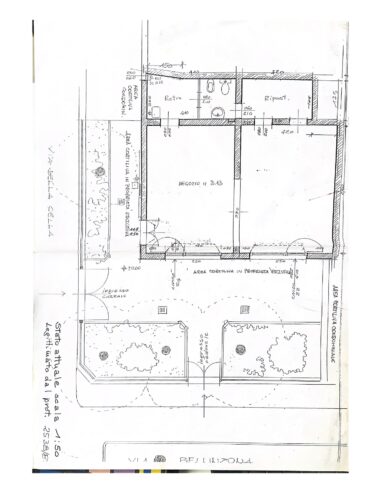 CORTILIVA-1_page-0002
