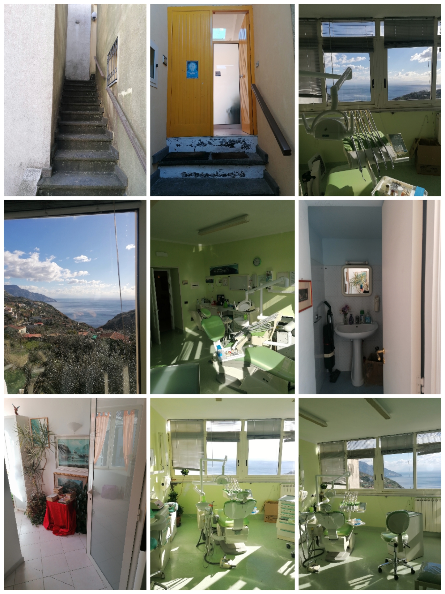 Collage_20220212_135606